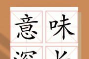 耐人寻味的意思