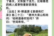 枯木逢春的意思