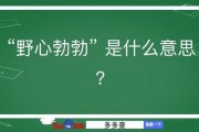 野心勃勃的意思