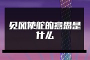 见风使舵的意思