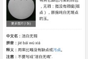洁白无瑕的意思