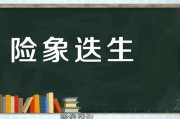 险象迭生的意思