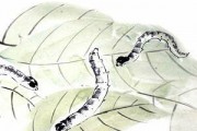 春蚕到死丝方尽打一成语