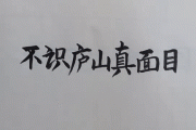 不识庐山真面目打一成语