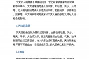 天灾人祸的意思
