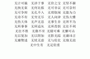 无什么可什么成语