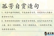 孤芳自赏造句