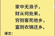 衣锦还乡的意思