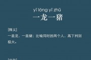 成语一龙一猪是什么意思