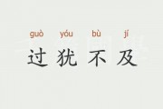 过犹不及的意思