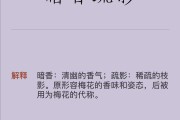 暗香疏影的意思