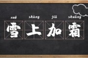 雪上加霜的意思
