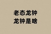 老态龙钟的意思