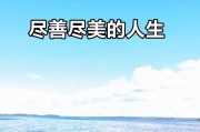 尽善尽美的意思