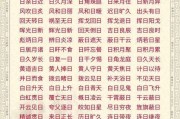 日什么月什么的成语