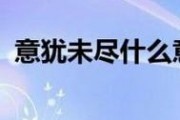 意犹未尽什么意思