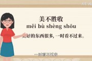 美不胜收的意思