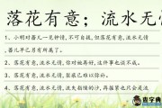 落花流水的意思