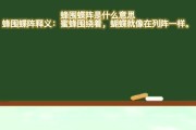 蜂围蝶阵的意思