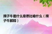 孺子牛的意思