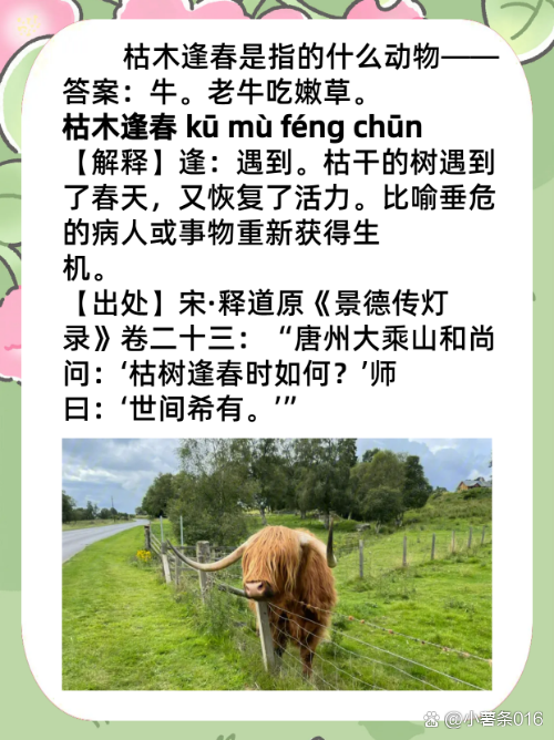 枯木逢春的意思