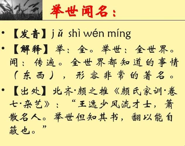 举世闻名的意思