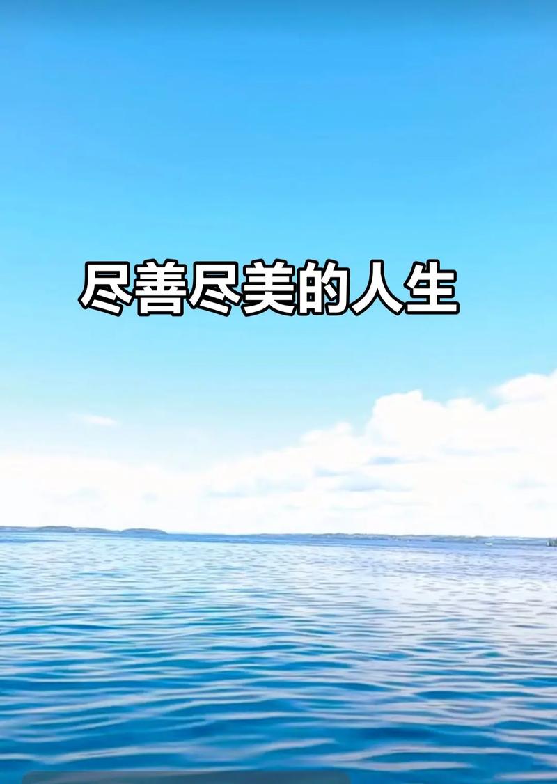 尽善尽美的意思