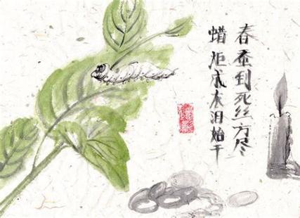 春蚕到死丝方尽意思