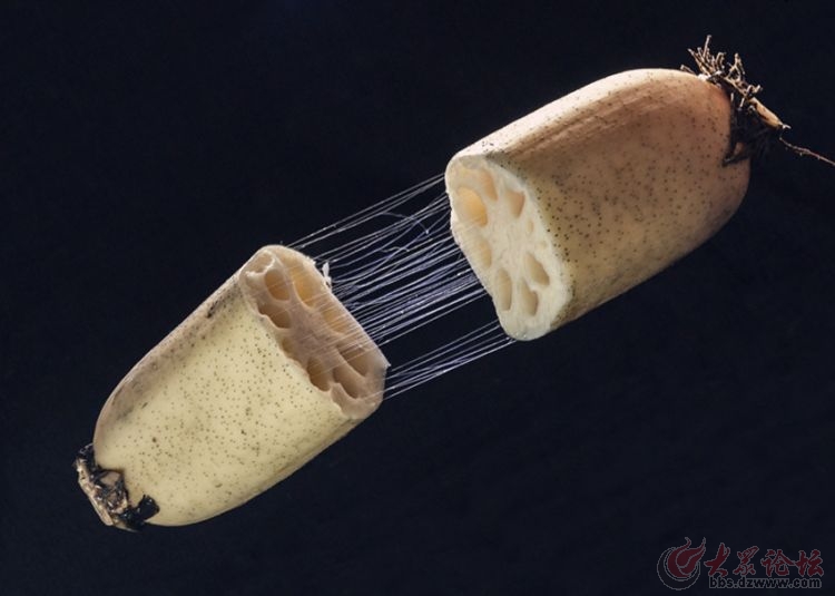 藕断丝连的意思
