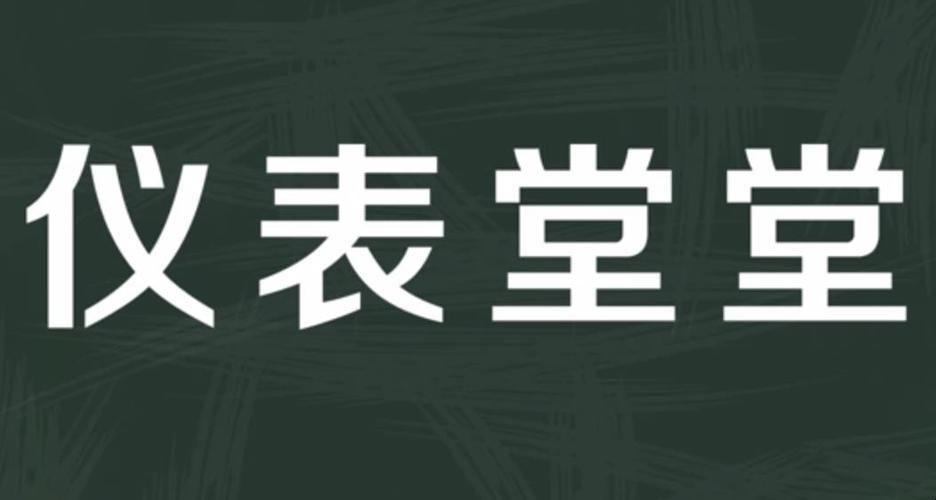 仪表堂堂的意思