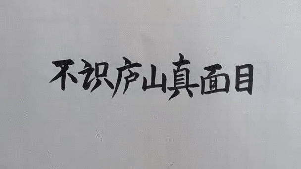 不识庐山真面目打一成语