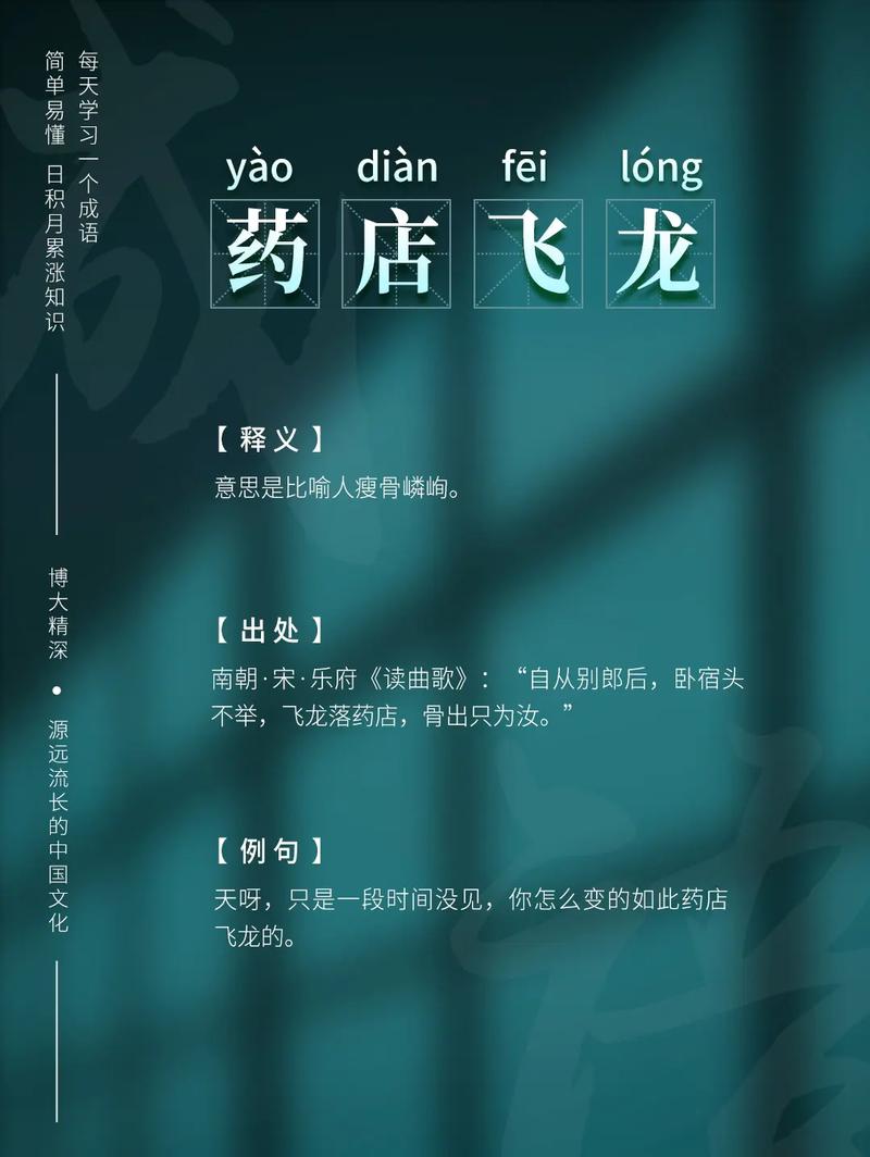 药店飞龙是什么意思