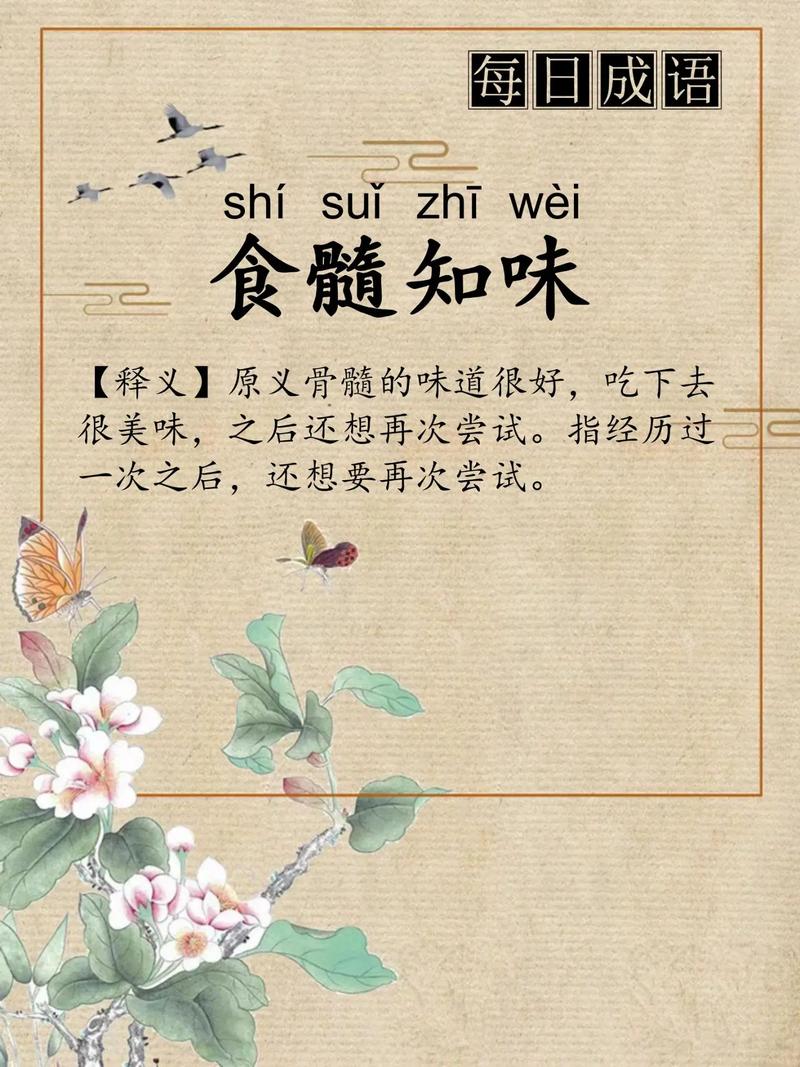 食髓知味什么意思